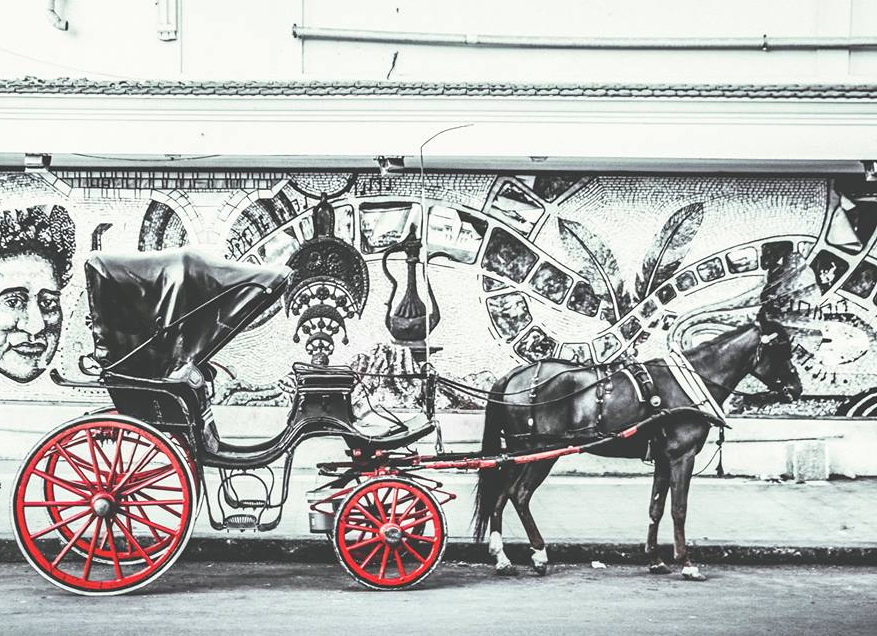 ALEXANDRIA CITY TOUR BY HORSE CARRIAGE